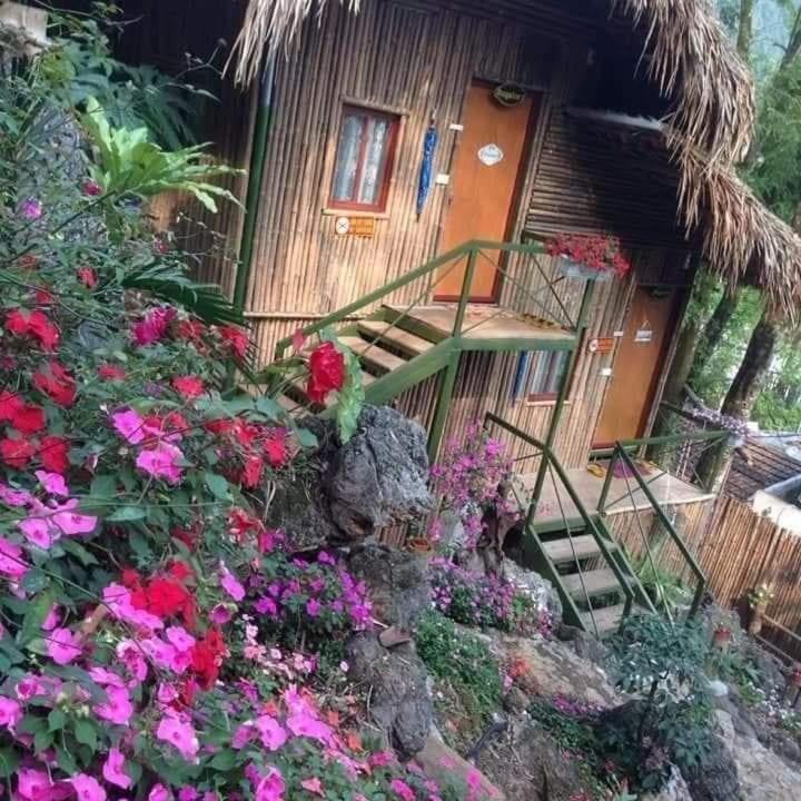 Green Hill Hostel&Tour Ha Giang Buitenkant foto